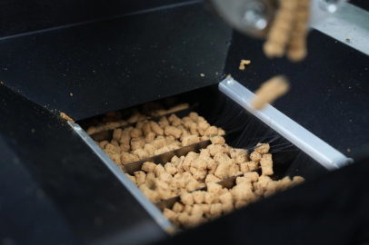 Eskişehir'de atık yemekler mama oluyor