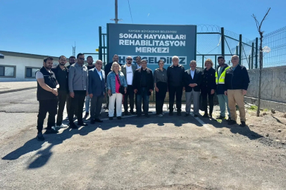 Kayseri Büyükşehir'den can dostlar için örnek hizmet